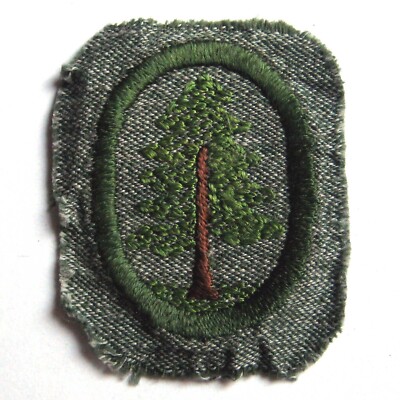 Vintage 1928 Girl Scout PINE TREE TROOP CREST Forest Patch Badge GREY SQUARE