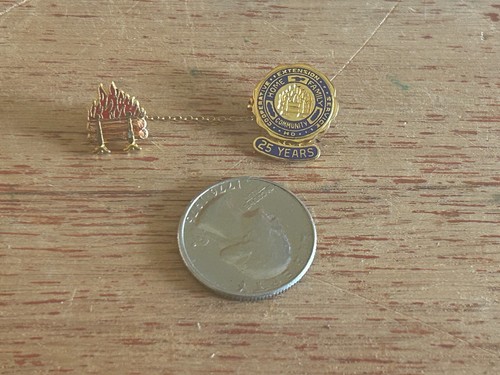 Cooperative Extension Service Anstecknadel 25 Jahre Member Service Award Pullover Pin - Bild 2 von 18