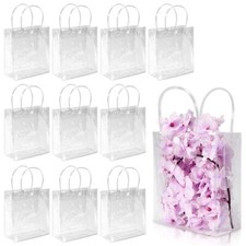 10 Pcs Clear PVC Gift Bags with Handles Party Favor Bags for Christmas Birthday