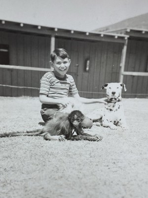 Boy, Spider Monkey, Dalmatian Dog Vintage Black And White  Photograph (B)