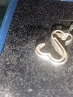 Jane Seymour Sterling Silver Open Hearts Diamond Classic Heart Pendant 18" - .15 — photo 4