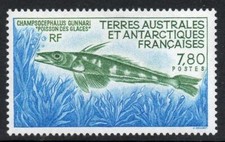 French Antarctic MNH 1991 SG280 Mackeral Icefish