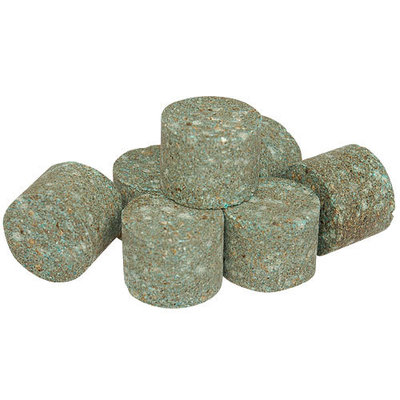 Agriform 20-10-5 Slow-Release Fertilizer Tablets - 10 Tablets, 21g Each, Feeds For Up To 2 Years