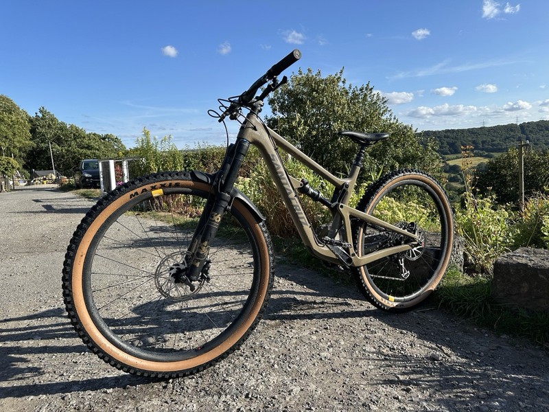 Santa Cruz Hightower Large