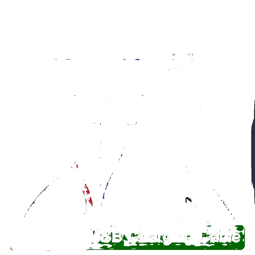 Cables de sincronización de datos y carga para Nokia Apple iPhone 6s