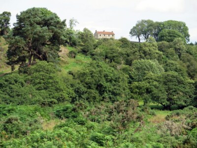 Photo 6x4 Copley Bent above Gaunless Valley Butterknowle  c2015