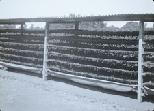 Magic Lantern Slide Photo Raisin Drying Racks Victoria Australia