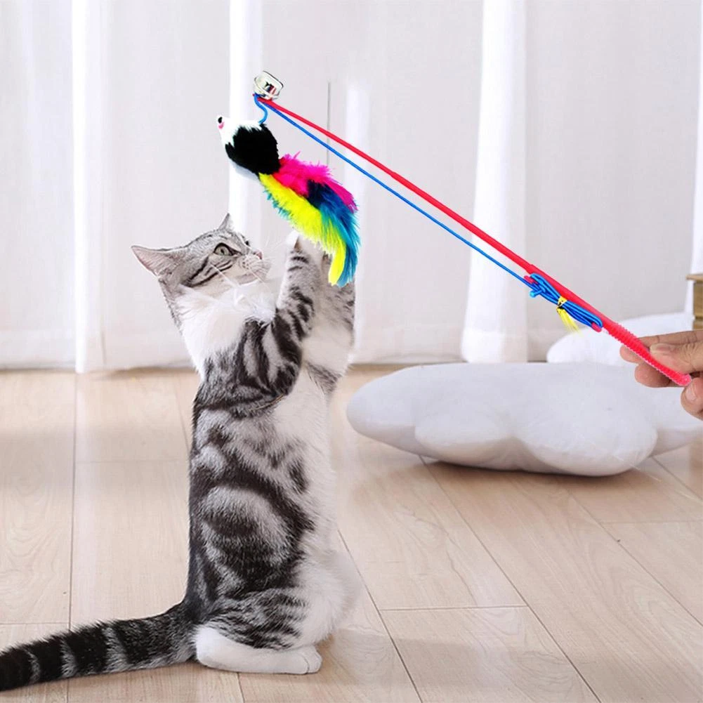 Cat catcher online