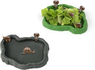 2 Set Snail Feeding Dish Set Land Snails Snail Feeder & Water Dish Kit-Calcium