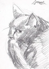 Original Cat Portrait Graphite Art Sketch "Who disturbs my slumber?"