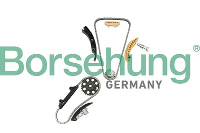 Borsehung B18846 Timing Chain Kit for Audi,Seat,VW