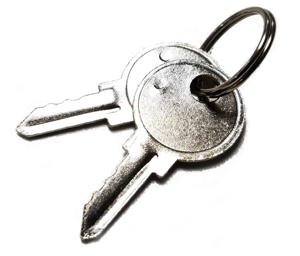 COMPUMATIC (Set of 2) uPunch Time Clock Key for HN1000 HN2000 HN3000 HN4000 FN1000