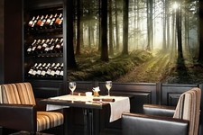 3D Forest Sunshine B228 Business Wallpaper Wall Mural Self-adhesive Commerce Wen
