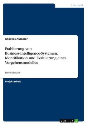 Etablierung von Business-Intelligence-Systemen. Identifikation und Evaluierung e