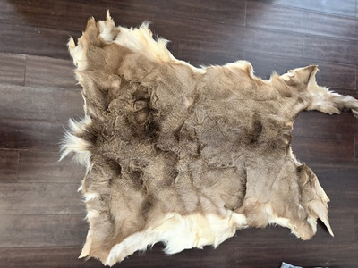 #ad #ad Whitetail Deer Hide Deerskin Pelt Cabin Rug Hair On Rustic Home Decor 54x40 $109.97