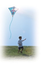 Kite Jet Plane Diamond Single Line Kite 30" With Winder  String..11...PR 15445