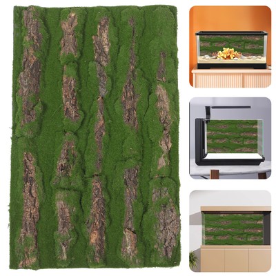  Reptile Enclosure Background Guinea Pig Cage Decor The Animal