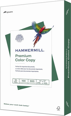 Printer Paper, Premium Color 28 Lb Copy Paper, 11 X 17 - 100 Bright, Made in the
