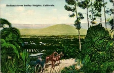 Postcard Redlands From Smiley Heights California 1915