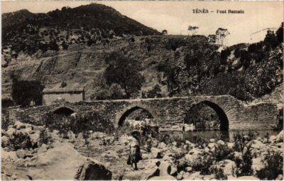 CPA ALGERIA TENES Pont Romain (1189866)