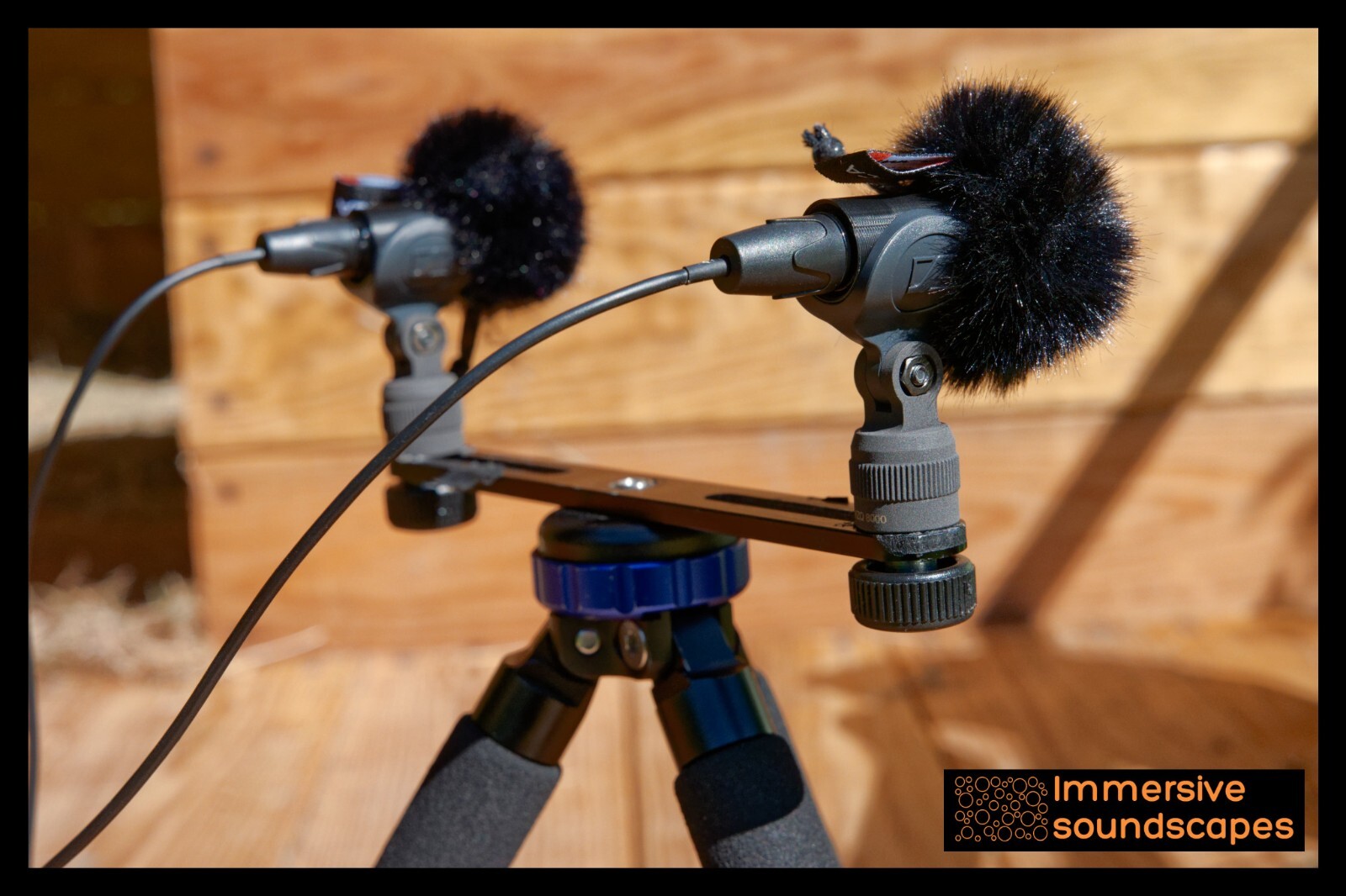 Microphone Earsight STANDARD XLR 3m de haute précision acoustique