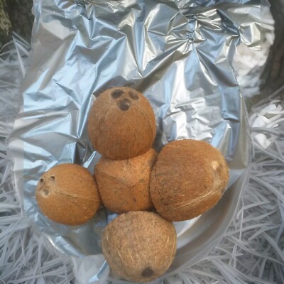 coconut shell Natural Bowl Ceylon Eco Friendly 100% Halves Organic Hand Made.