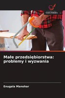 Ma¿E Przedsi¿Biorstwa: Problemy I Wyzwania Enugala Manohar Taschenbuch Polnisch