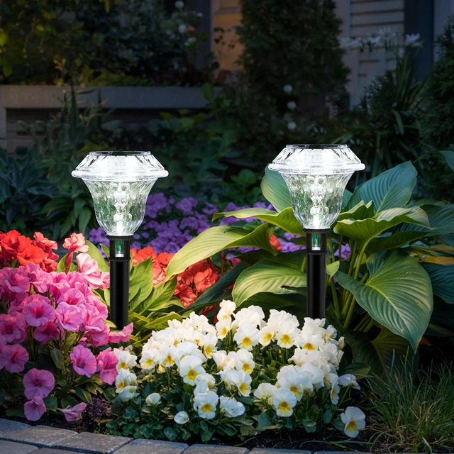 Solar Garden Path Lights 2-Pack Waterproof LED Cold White – Outdoor