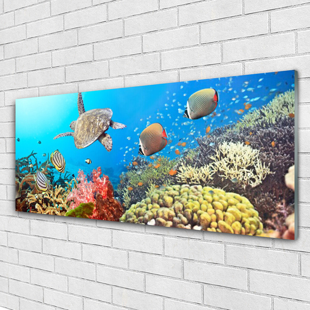 Tableau sur verre acrylique récif de corail de 125x50cm avec finition brillante luxe