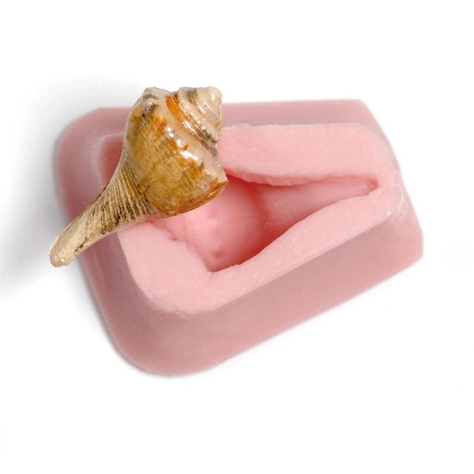 Conch Seashell Silicone Mold - Fondant Chocolate Candy Polymer Clay Soap (865 - Image 4 of 4
