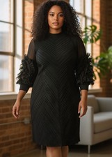 Women Black Dress With Sheer Sleeve