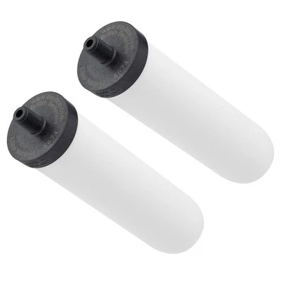 British Berkefeld Doulton Ceramic Water Filter Candle W9121226 7" Sterasyl 2 Pk