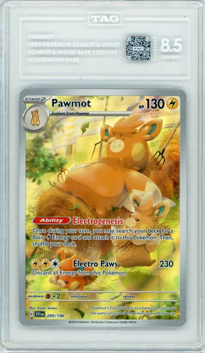Pawmot graded TAG 8.5 for sale on eBay
