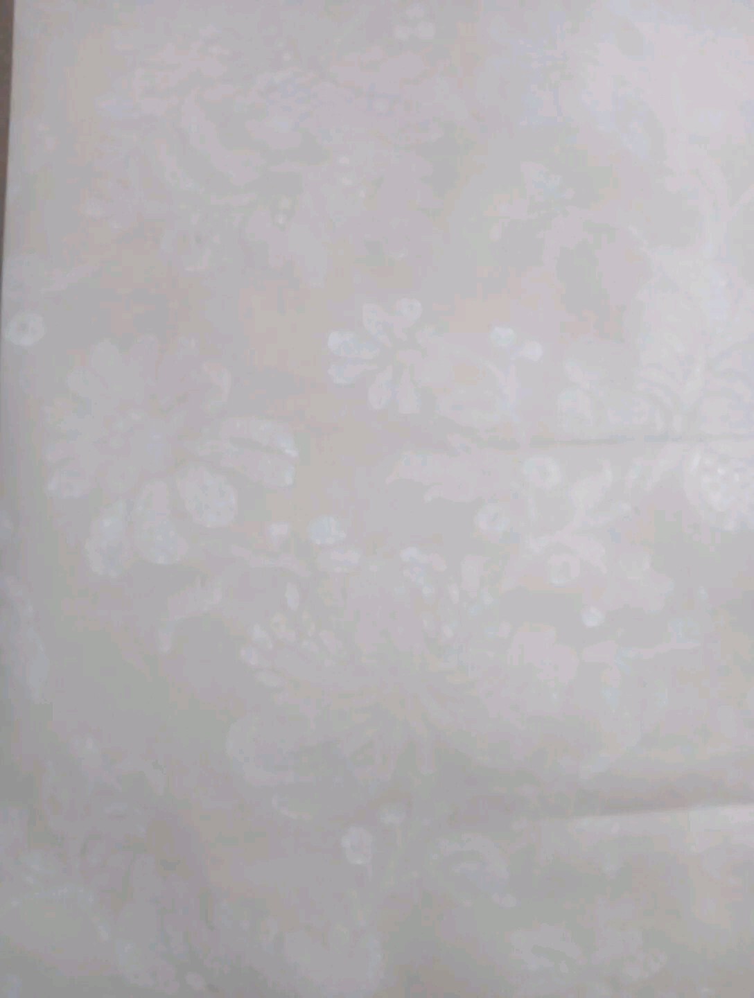 Picture 4 of 4