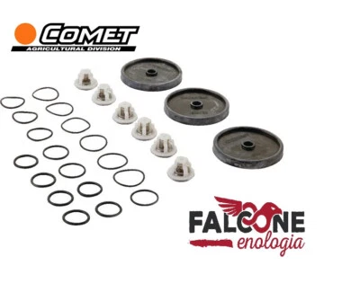 5026024500 Kit manutenzione per pompa Comet APS 31 e APS 41