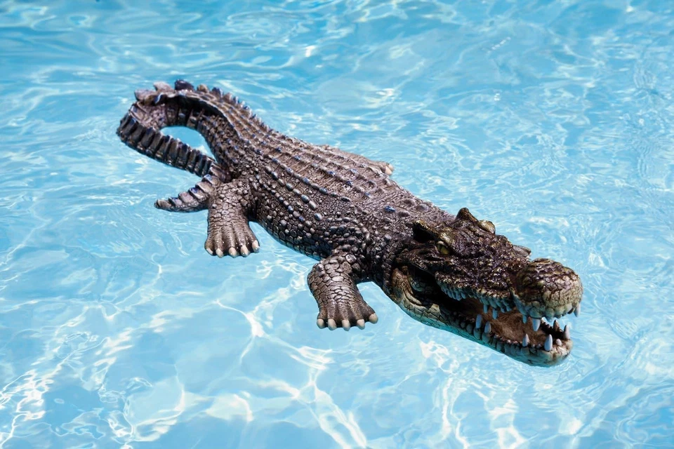 30-Inch Crocodile Floating Decor for Garden, Pond & Pool - Realistic Touch - Image 4 of 4