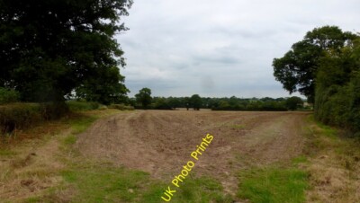 Photo 6x4 Field by Rookery Lane Marchamley Pictured from the acute angle  c2015