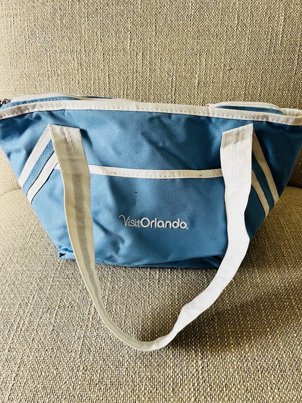 NEW Blue White Canvas Insulated Mini Tote Lunch Bag Picnic ‘Visit Orlando’