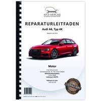 Audi A6 Typ 4K Ab 2018 6-Zyl. 2,9L 3,0L Benzinmotor Werkstatthandbuch
