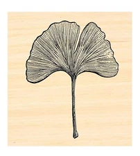 P129 Ginko Leaf rubber stamp