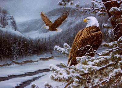 Birthday  Artist Rosemary Millete  Eagle Christian With Scripture Greeting Card