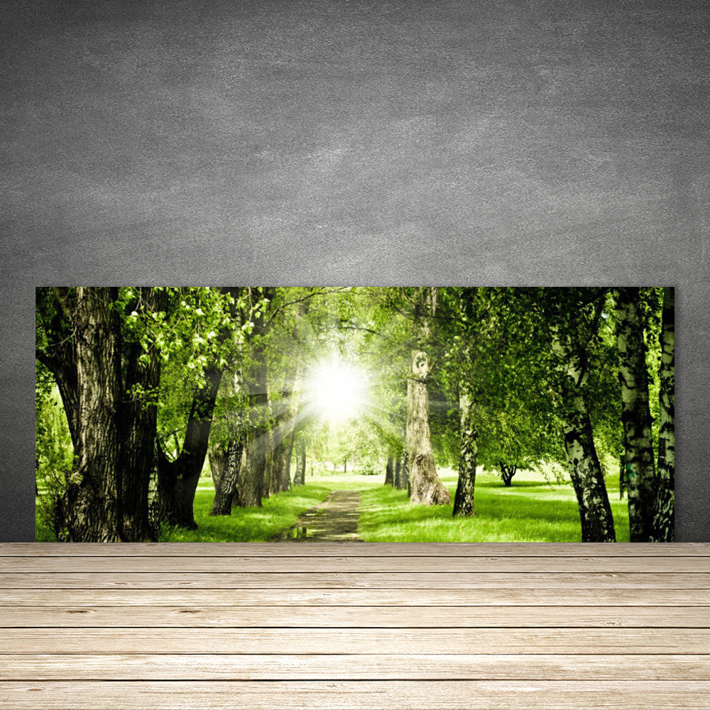 Crédence de cuisine en verre panneau protecteur 125x50 cm nature forêt