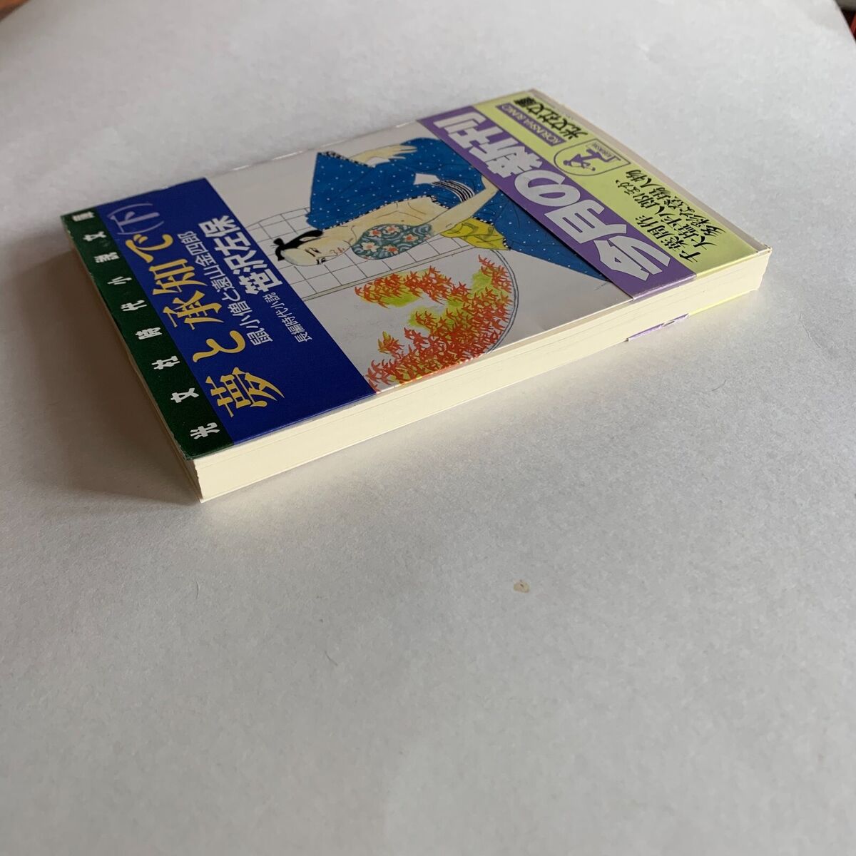 夢と承知で―鼠小僧と遠山金四郎〈下〉 (光文社時代小説文庫 夢と承知で―鼠小僧と遠山金四郎〈下〉 (光文社時代小説文庫