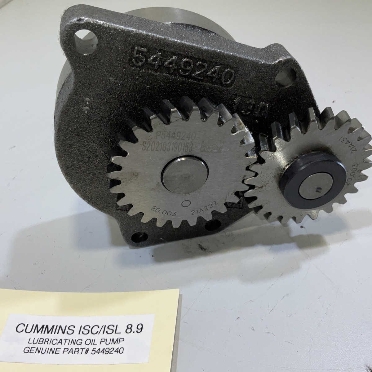 グロデベポリゴンヘッドスィッシャー