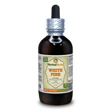 White Pine (Pinus Strobus) Tincture, Dried Bark Liquid Extract