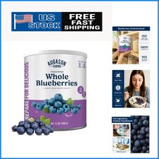 Long Shelf Life Dried Blueberries in Airtight Can - Perfect for Baking Camping