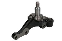 Hinten Links Reinhoch RH08-7001 Achsschenkel, RadaufhäNgung FüR Hyundai,Kia