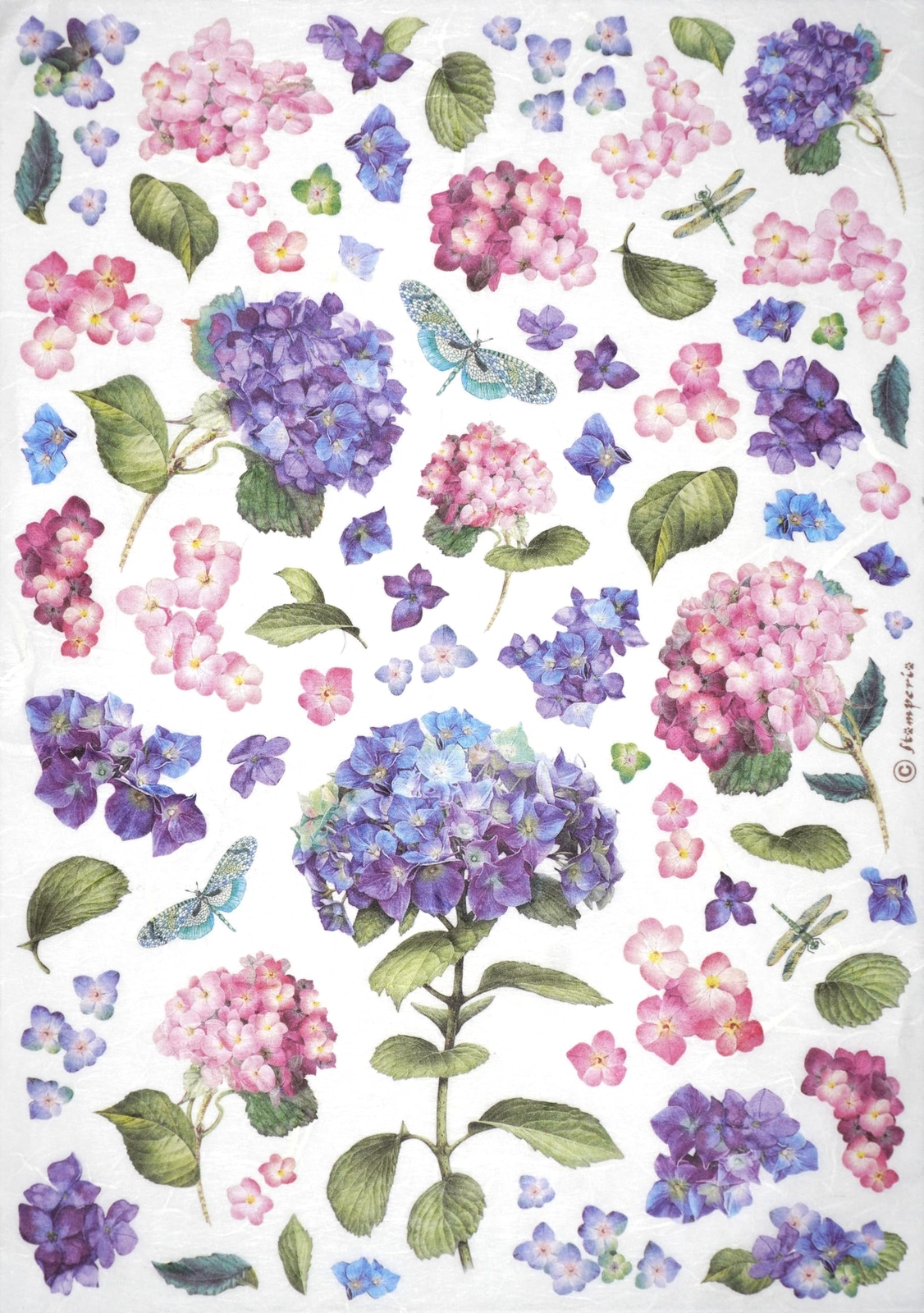 Stamperia A4 Rice Paper for Decoupage - Hydrangea - DFSA4895