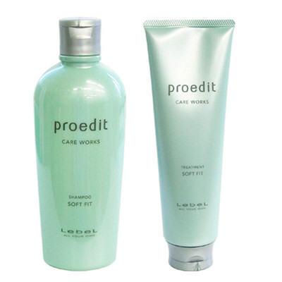 Proedit Care Works Hair Shampoo 300Ml & Hair Ttreatment 250Ml Set - Soft Fit (Gr