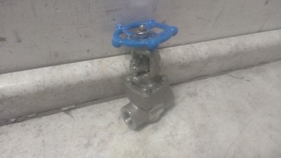 Sharpe 4371004100 3/4 In Valve Size 316L Stainless Steel Body Gate Valve